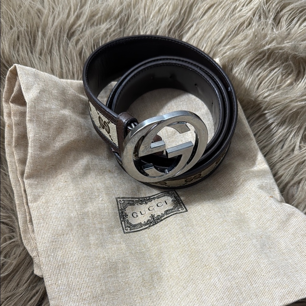 Gucci Brown and Tan Belt Bag with Silver Logo Buckle size 36 - Picture 4 of 9